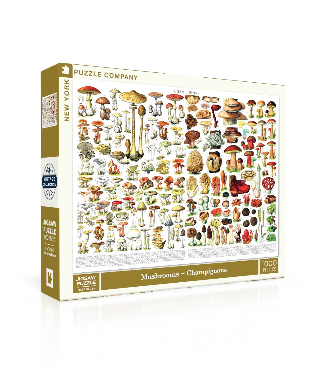 Mushrooms ~ Champignons Image 1