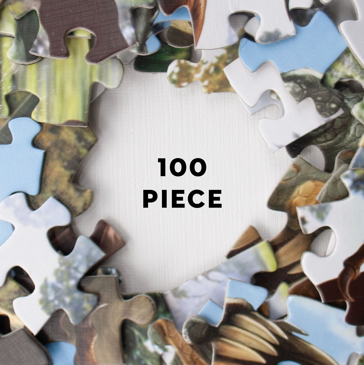 100 Piece