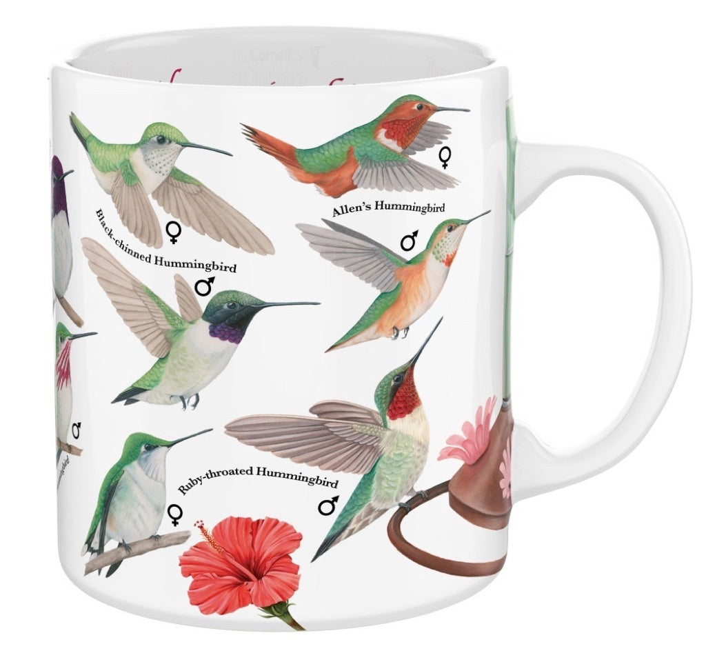 Hummingbirds Mug