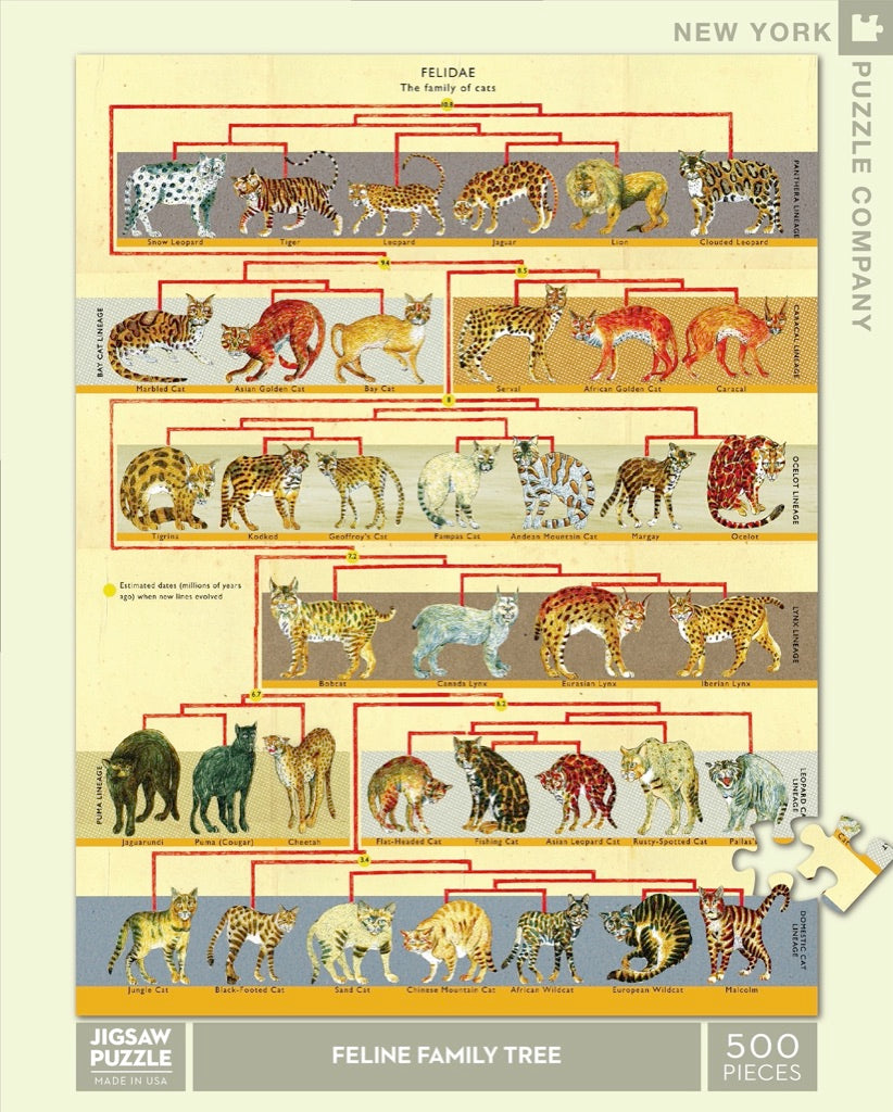 Feline Family Tree