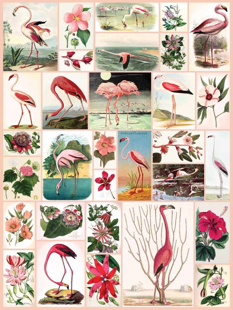 Flamingos and Flowers