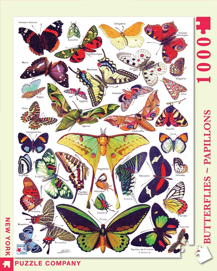Butterflies ~ Papillons