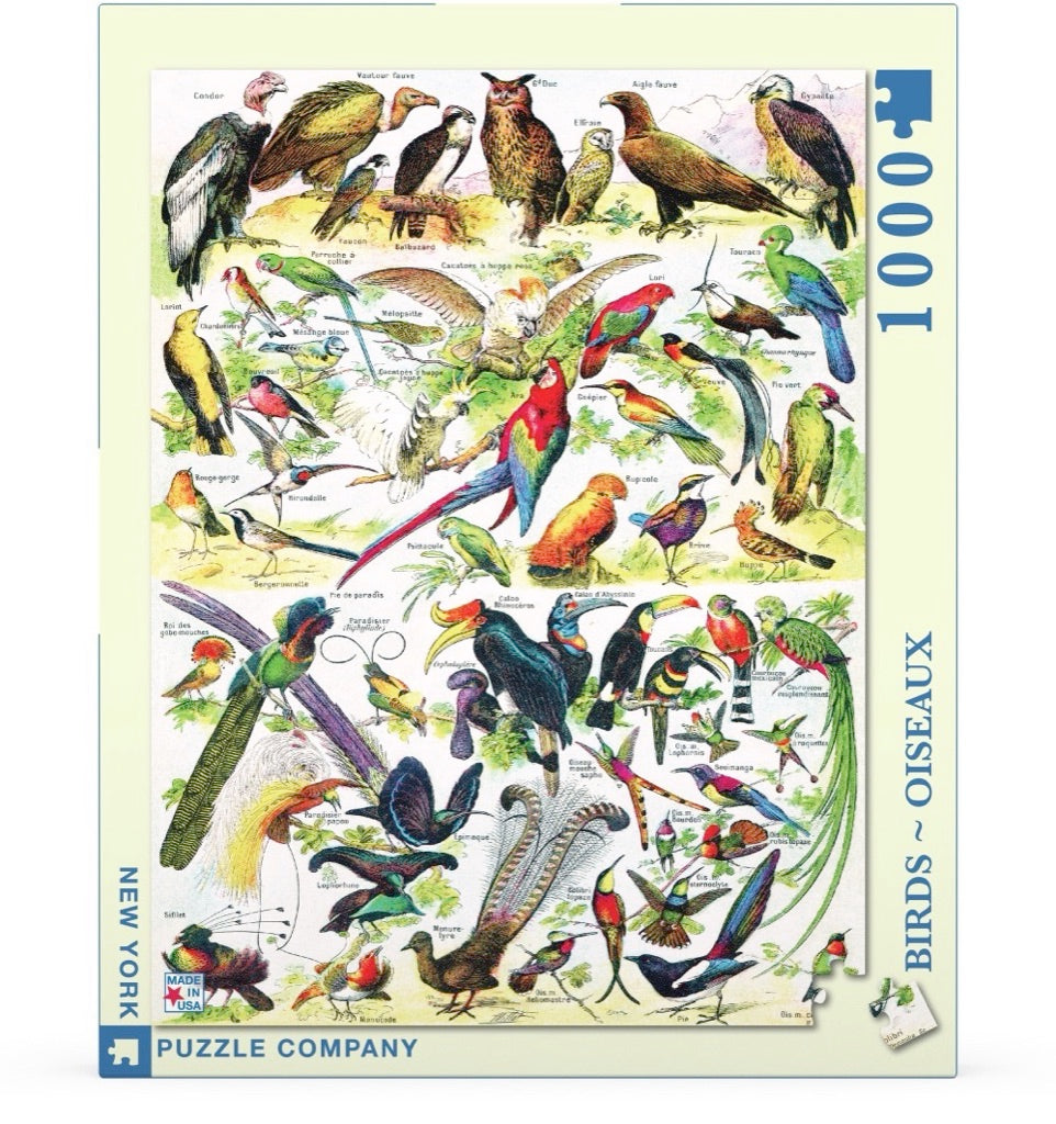 Birds ~ Oiseaux