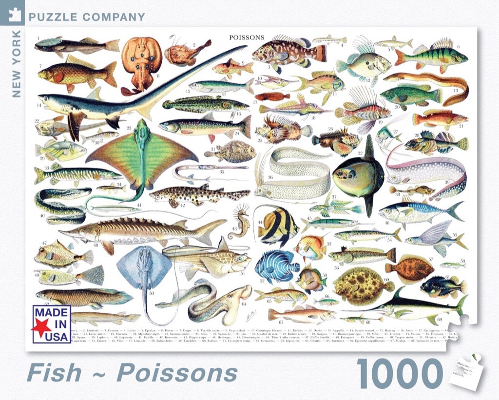Fish ~ Poissons